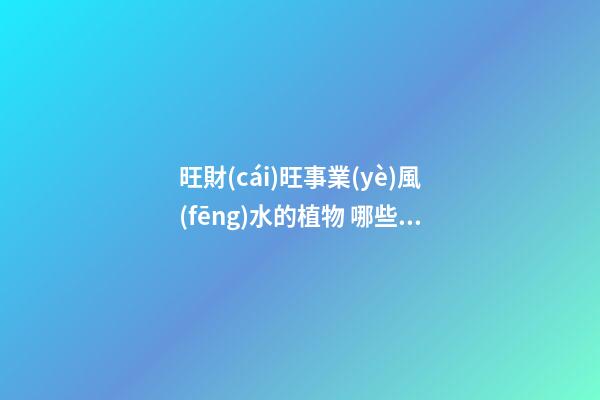 旺財(cái)旺事業(yè)風(fēng)水的植物 哪些植物的風(fēng)水會比較好